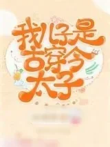 《我儿子是古穿今太子》小说封面