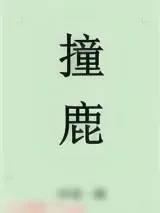 《撞鹿》小说封面