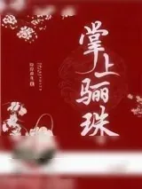 《掌上骊珠》小说封面