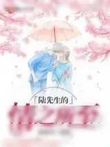 《陆先生的情之所至》小说封面