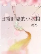 《日常盯妻的小丞相》小说封面