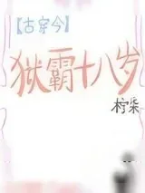 《一姐[古穿今]》小说封面