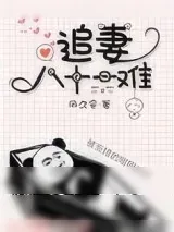 《追妻八十一难》小说封面