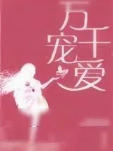 《万千宠爱（甜文）》小说封面