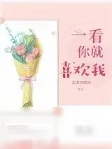 《一看你就喜欢我》小说封面