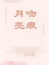 《月亮吻痕》小说封面