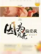 《因为月亮偏爱我》小说封面