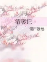 《清寥记》小说封面