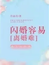 《闪婚容易离婚难》小说封面