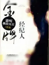 《金牌经纪人》小说封面
