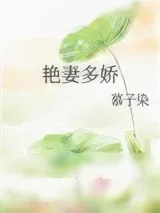 《艳妻多娇》小说封面
