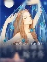 《曾想盛装嫁予你》小说封面
