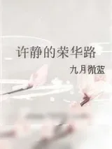 《许静的荣华路》小说封面