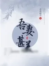 《吾妻甚美(美食)》小说封面