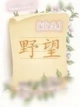 《野望[重生]》小说封面