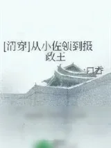 《[清穿]从小佐领到摄政王》小说封面