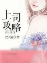 《上司攻略》小说封面