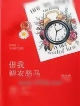 《借我鲜衣怒马》小说封面