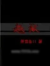 《越狱》小说封面