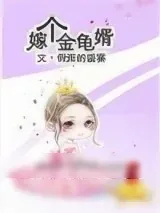 《嫁个金龟婿》小说封面