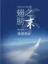 《翅膀之末》小说封面