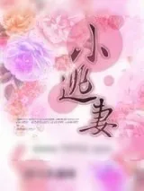 《小逃妻》小说封面