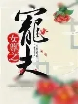 《女尊之宠夫》小说封面
