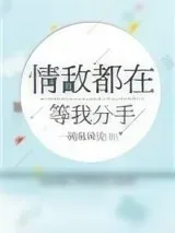 《情敌都在等我分手》小说封面