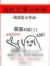 《我的文章总被锁》小说封面