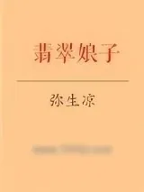《翡翠娘子》小说封面