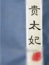 《贵太妃》小说封面