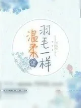 《温柔像羽毛一样》小说封面