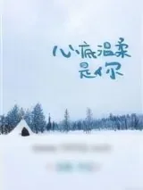 《心底温柔是你》小说封面