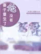 《妻子重生了他没有》小说封面