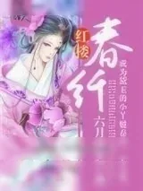 《红楼春纤》小说封面