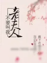 《不要叫我老夫人》小说封面