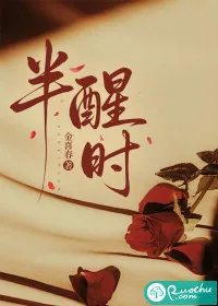 《半醒时》小说封面