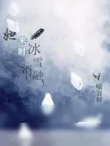 《她来时冰雪消融》小说封面