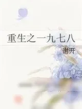 《重生之一九七八》小说封面