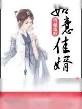 《如意佳婿》小说封面