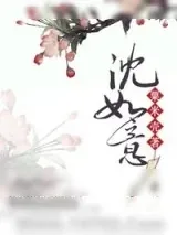 《沈如意》小说封面