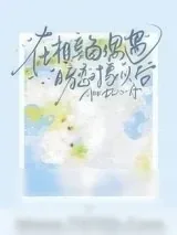 《在相亲角偶遇暗恋对象以后》小说封面