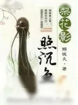 《梨花影照沉鱼》小说封面
