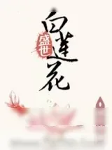 《盛世黑莲花》小说封面