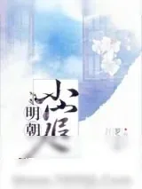 《明朝小官人（我家的表哥数不清）》小说封面
