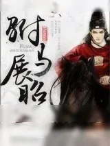 《驸马展昭》小说封面