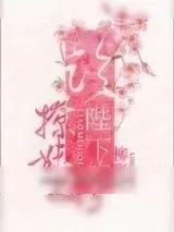 《论陛下的撩妹技巧》小说封面