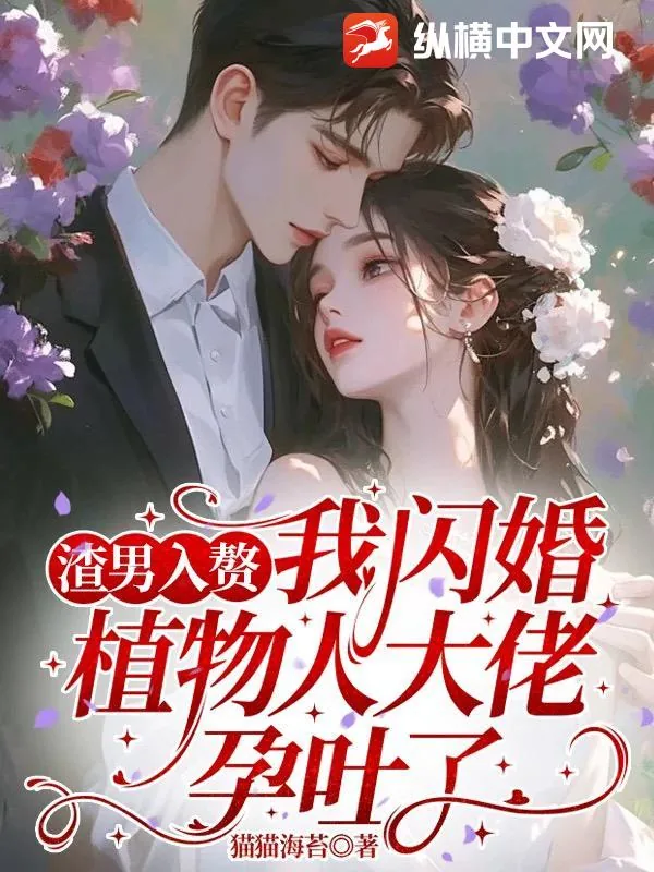 《渣男入赘，我闪婚植物人大佬孕吐了》小说封面