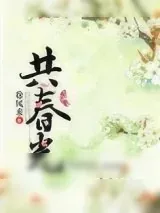 《共春光》小说封面