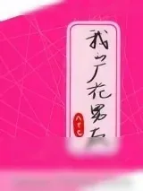 《我的厂花男友》小说封面